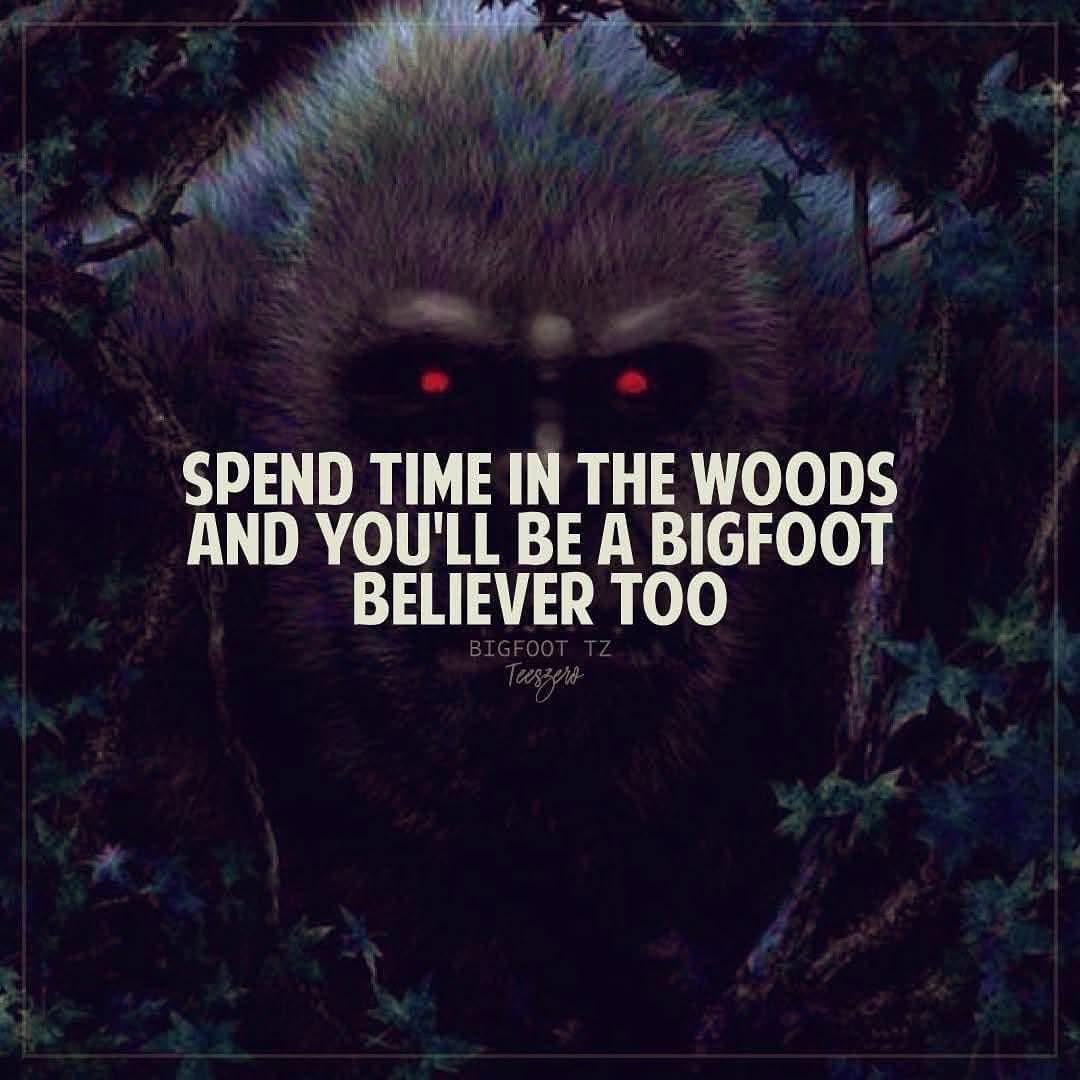 Bigfoot in the woods